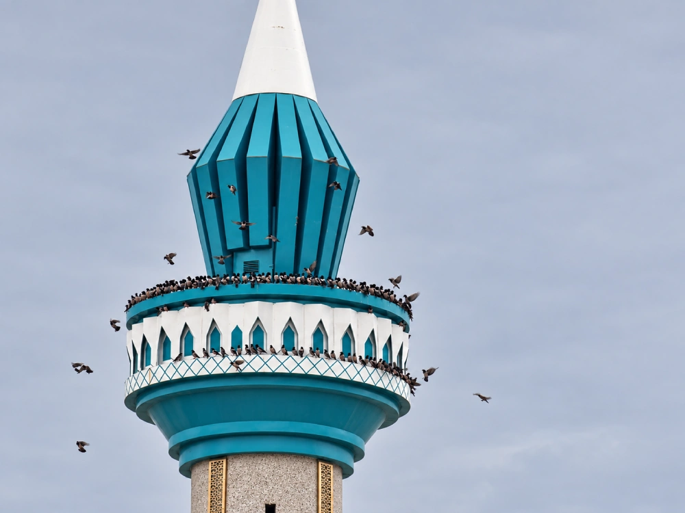 Minare kalıpları ve uygulamaları